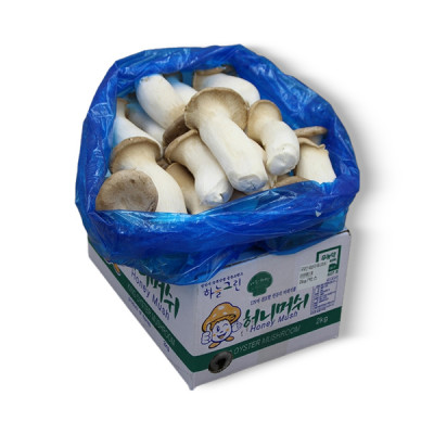새송이버섯(국내산) 2kg/박스